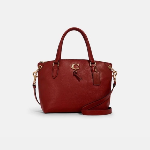 NWT Coach Bag - Picture 3 of 7